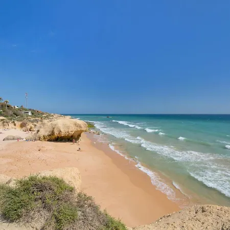 Flor De Maio By Interhome Patroves